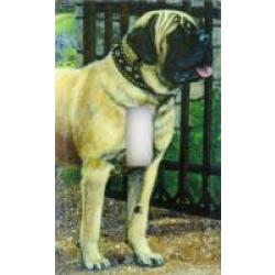 English Mastiff 2B SLSP-P