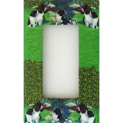 English Springer 1A RSLSP-P