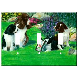 Eng Springer 1a-tlsp-M