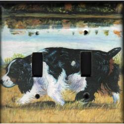 English Springer 4A DLSP-P