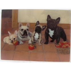 Frenchie 1 cutting board
