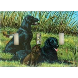 Flat Coat 3A TLSP-P