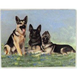 GSD 2- 6X8 Ceramic Picture Tile GSD 2 tile
