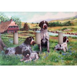 German Wirehair Triplet Light Switch Plate 2A GWP 2A TLSP-P
