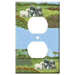 Havanese 4a otlp-M