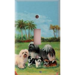 Havanese 4A SLSP-M