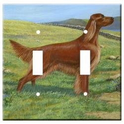 Irish setter 2a dlsp-M