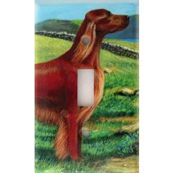 Irish Setter 2A SLSP-M