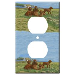 Irish setter 3a otlp-M