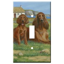 Irish setter 3a slsp-M
