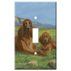 Irish setter 3b slsp-M