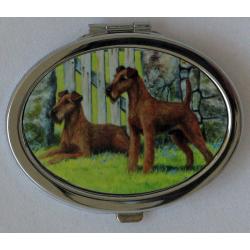 Irish Terrier 1 compact