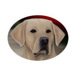 Lab, Yellow 4A compact