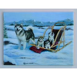 Alaskan Malamute Picture Tile #3 Mal tile 3