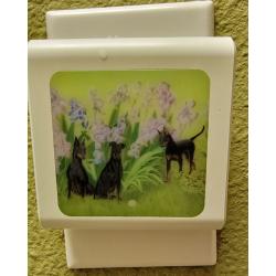 Manchester #4 nightlight-off