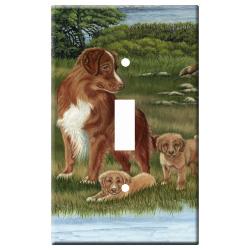 Nova Scotia Duck Tolling Retriever Picture 1A Single Light Switch Plate Toller 1a-slsp
