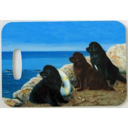 Newf 3 luggage tag