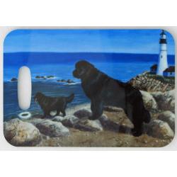 Newfoundland 4 luggage tag