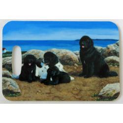 Newf 5 luggage tag