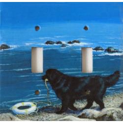 Newfoundland 4A DLSP-M