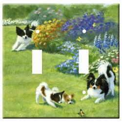 Papillon 1a dlsp-M