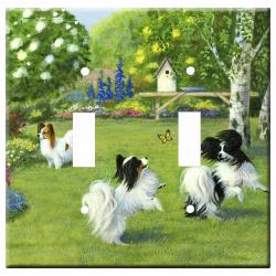 Papillon 3a dlsp-M