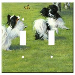 Papillon 2b dlsp-M