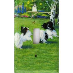Papillon 3B SLSP-P
