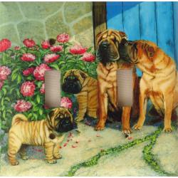 Shar Pei 1A DLSP-P