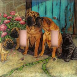 Shar Pei 1B DLSP-P