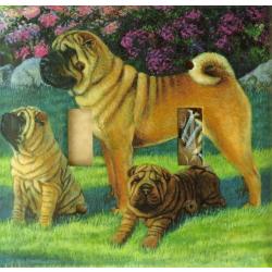 Shar Pei 2A DLSP-P