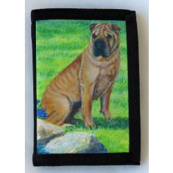 Shar Pei 4B trifold