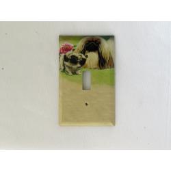 Pekingese 6A SLSP-P