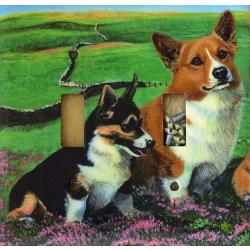Corgi 2A DLSP-P