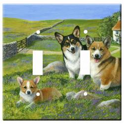 pembroke corgi 4a-dlsp-M