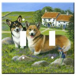 pembroke corgi 4b-dlsp-M