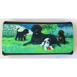 PWD 4 glasses case
