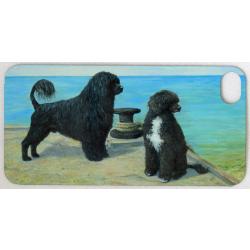 PWD 1 pkg tag