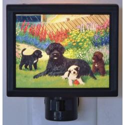 Portuguese Water Dog Picture Nightlight #4