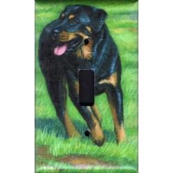 Rottie 1A SLSP-P