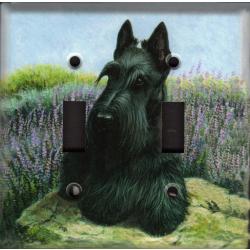 Scottie 1A DLSP-M