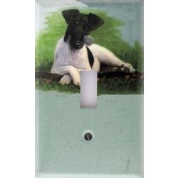 Smooth Fox Terrier 1A SLSP