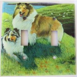 Sheltie 1A DLSP-M