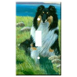 Sheltie 1b-slsp-M