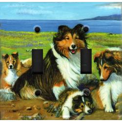 Sheltie 3A DLSP-M