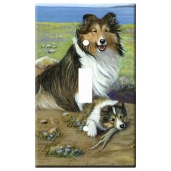 Sheltie 3a slsp-M
