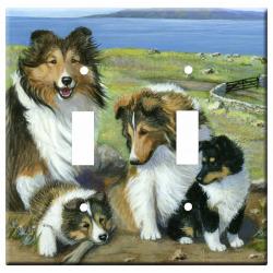 Sheltie 3b dlsp-M
