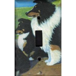 Sheltie 4A SLSP-P