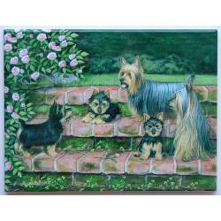 Silky Terrier Picture Tile - 6X8 #1