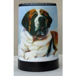 Saint 1 Koozie STB 1 koozie - front